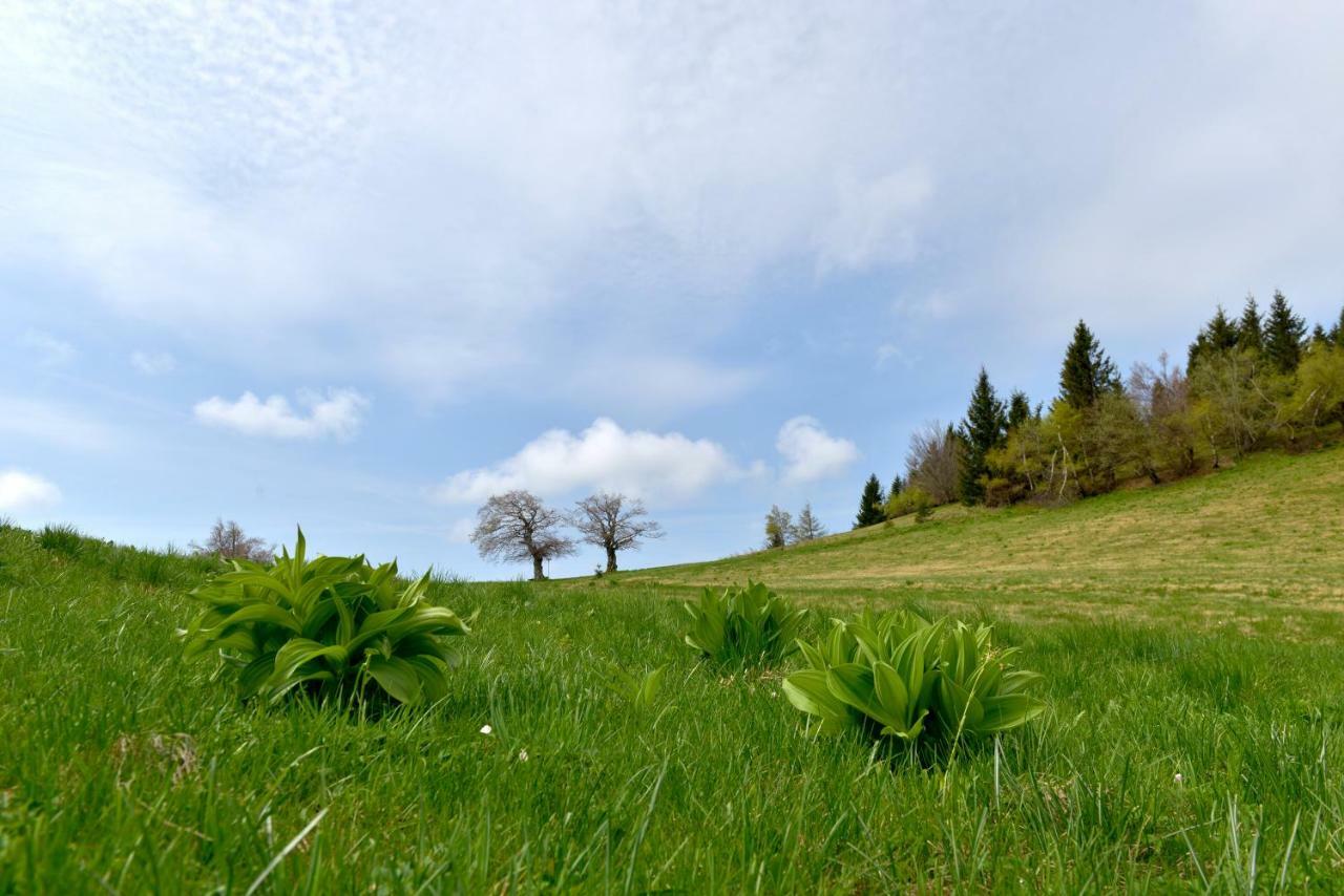 Holiday Home Davca Cerkno Exterior foto